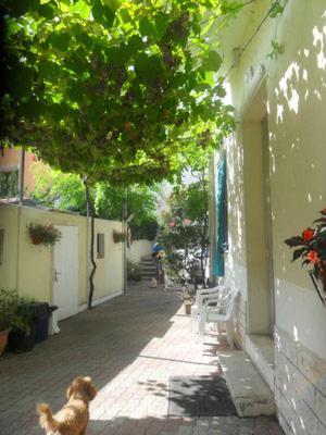 Albergo Villa-Brandi --- Pensione Completa --- Bellaria-Igea Marina Esterno foto